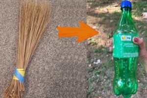 Dried Leaves Cleaning Easy Tip — Simple & Smart Home Hack