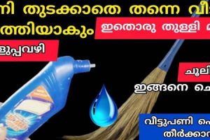 ഇതൊരു തുള്ളി മതി ഇനി വീട് തുടക്കാതെ തന്നെ വൃത്തിയാക്കാം! ചൂലിൽ ഇങ്ങനെ ചെയ്യൂ, വീടുപണി പെട്ടെന്ന് തീർക്കാൻ ഇതാ എളുപ്പവഴി!! | Easy Home Cleaning Tips & Tricks (Natural & Effective