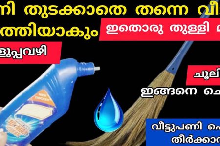 ഇതൊരു തുള്ളി മതി ഇനി വീട് തുടക്കാതെ തന്നെ വൃത്തിയാക്കാം! ചൂലിൽ ഇങ്ങനെ ചെയ്യൂ, വീടുപണി പെട്ടെന്ന് തീർക്കാൻ ഇതാ എളുപ്പവഴി!! | Easy Home Cleaning Tips & Tricks (Natural & Effective