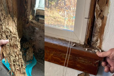 Get Rid of Termites Naturally Using Camphor (Karpooram)