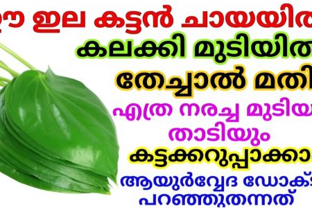 Natural Hair Dye Using Betel Leaf & Black Tea (Kattan Chaya)