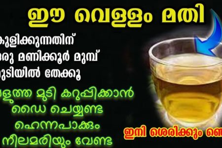 Natural Hair Dye Using Henna Leaves