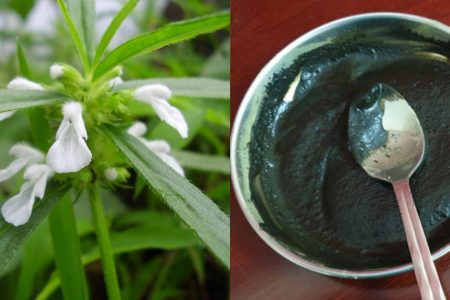 Natural Hair Dye Betel Leaf