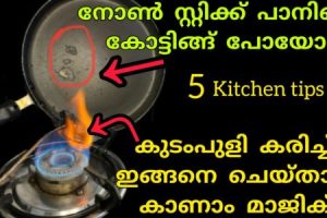 Nonstick Pan Tricks Using Kudampuli