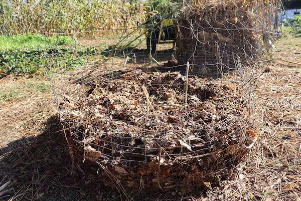 dry leaf compost (leaf compost or “leaf mold”)