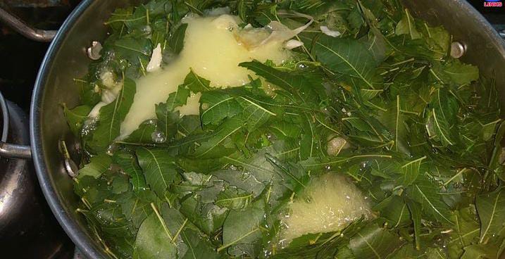 Neem Leaves Water (Azadirachta indica) is a natural health booster widely used in Ayurveda for its antibacterial