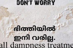 Wall Dampness Treatment – Easy Home Solutions
