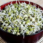 Sprouts benefits