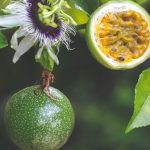 passion fruit health benefits
