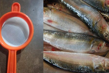 Easy Fish Cleaning Tips Using Stainer