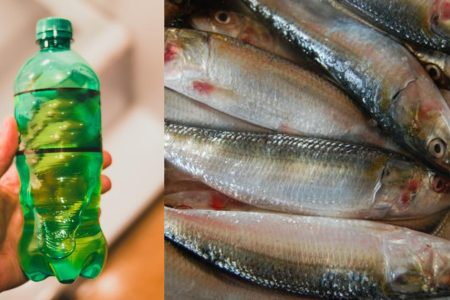 Fish Cleaning (Descaling) Using a Bottle