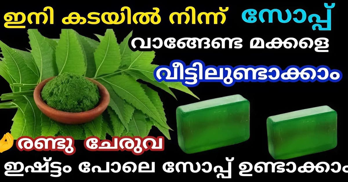 Homemade Neem Soap