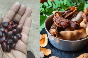 tamarind Cleaning Tips