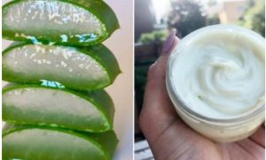 Home Made Fresh Aloe vera Jel Cream