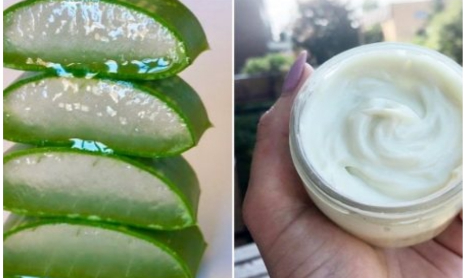 Home Made Fresh Aloe vera Jel Cream