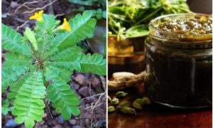 Mukkutti Lehyam Making tips