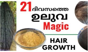 Hair care using fenugreek Water