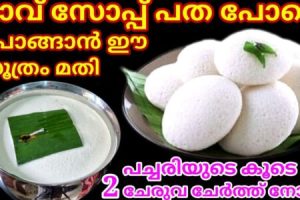 Soft & Fluffy Idli Batter (Perfect Method)