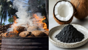 ten powerful natural and synthetic rooting hormones