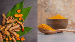 turmeric powder at home with high curcumin content