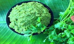Coriander chammandhi recipe