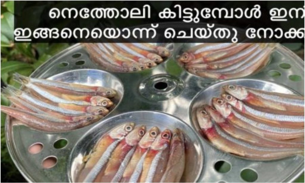 Variety Fish Recipe
