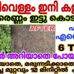 To Remove Weeds Using Kanjivellam