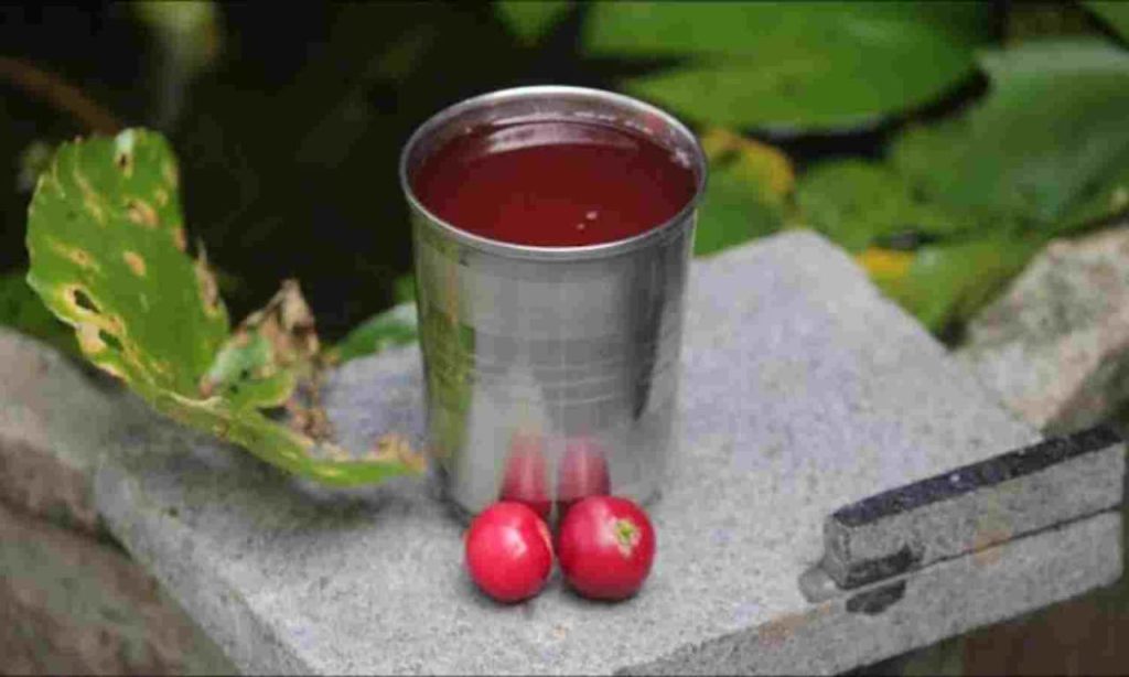 Loobikka juice recipe