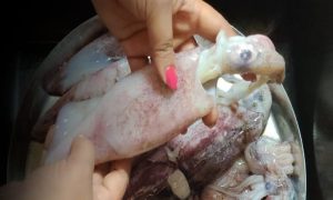 How to clean squid fish