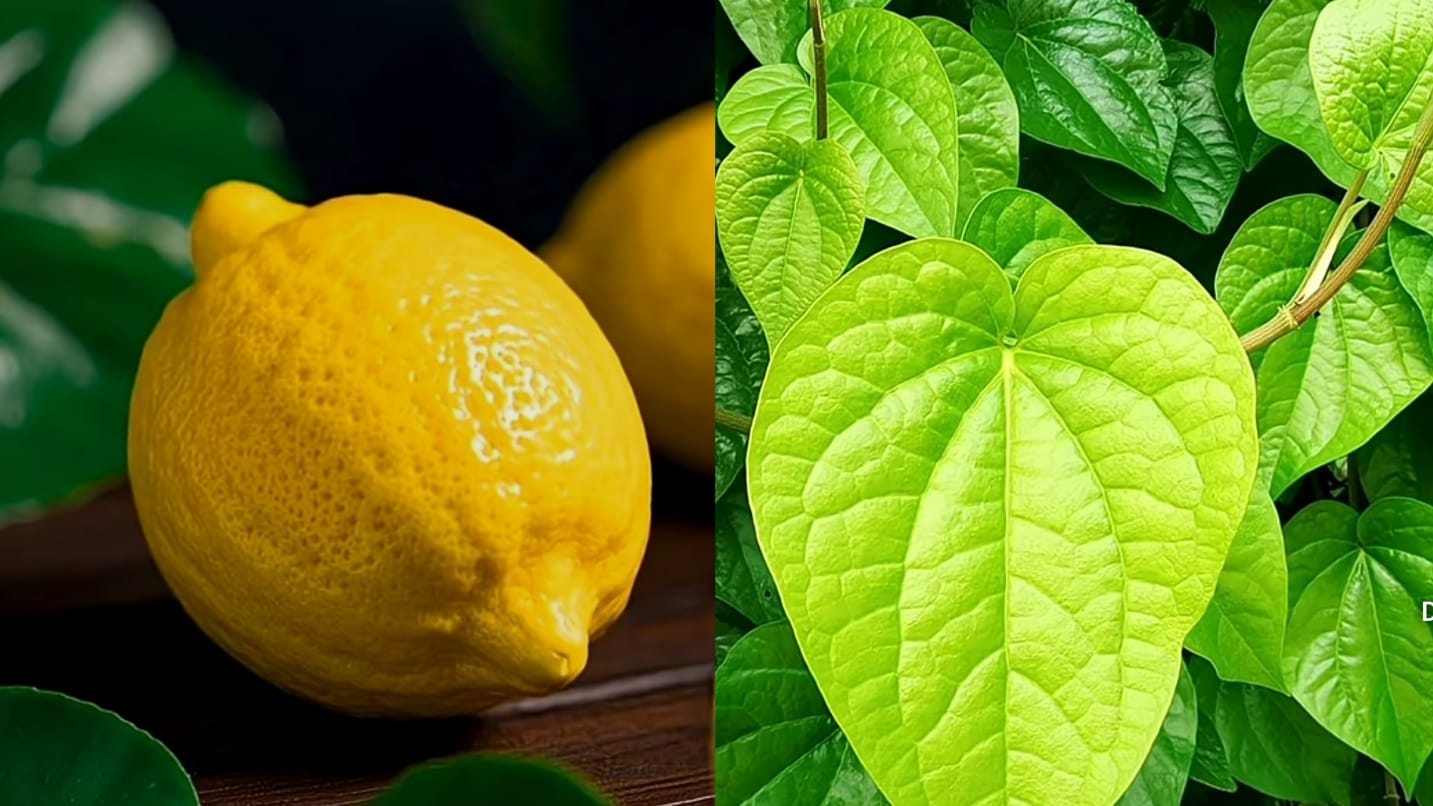 Offering lemon will solve many of our problems