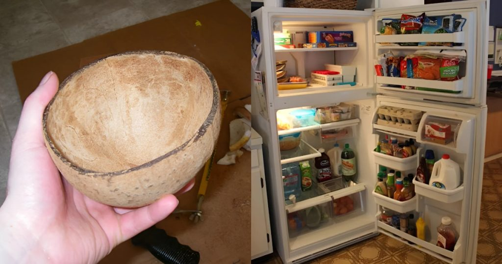 To Reduce Electricity Bill Using  Coconut Shell