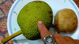 വളരെ എളുപ്പത്തിൽ ഒരു ഒഴിച്ചുകൂട്ടാൻ breadfruit potato ozhichu koottaan