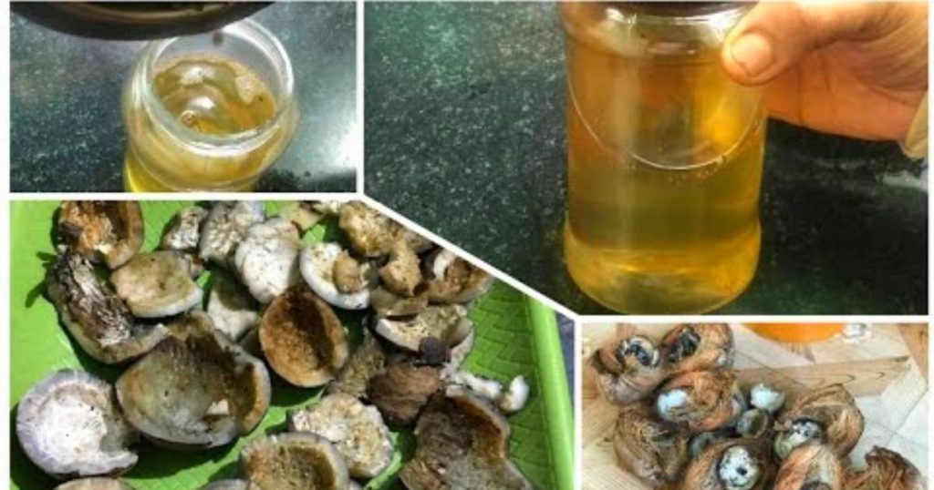 prepare coconut oil with dry coconut