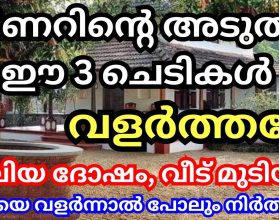 പുസ്തക പൂജ ശരിയായ രീതിയിൽ ചെയ്യാം. How to do book puja correctly ...